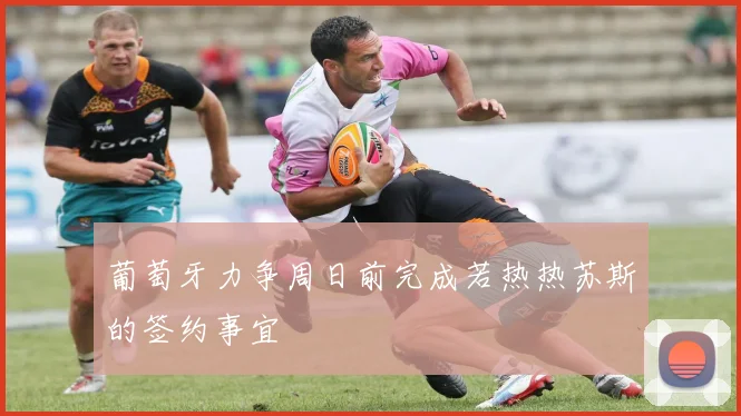 葡萄牙力争周日前完成若热热苏斯的签约事宜