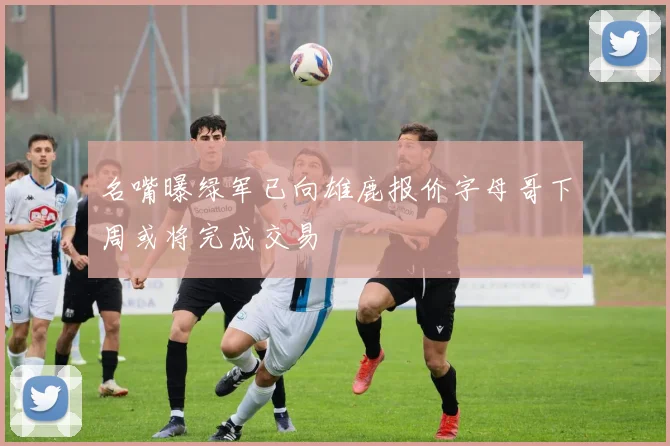 名嘴曝绿军已向雄鹿报价字母哥下周或将完成交易